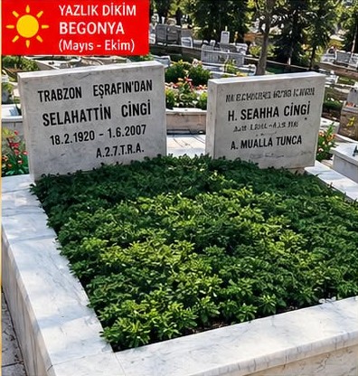 Standart Paket - Çift Kişilik Mezar Bakımı