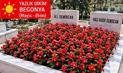 VİP Paket - Çift Kişilik Mezar Bakımı