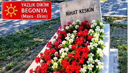 VİP Paket - Tek Kişilik Mezar Bakımı