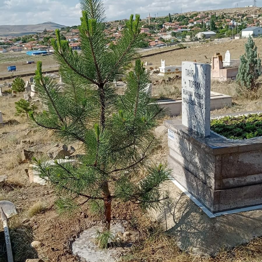 Köy mezarlığında mezar yapımı ve bakımı